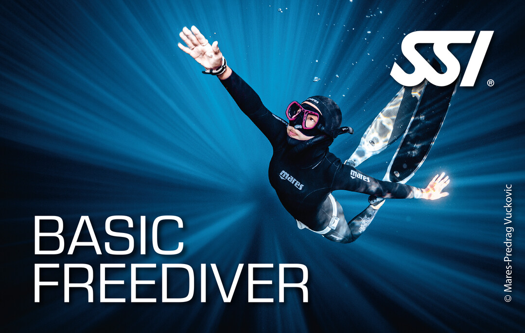 21 Dicembre: corso Basic Freediving SSI